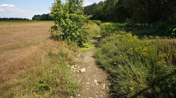 Achern Oberkirch Debatte Ber Holchenbach Und Schwiebergraben Dort